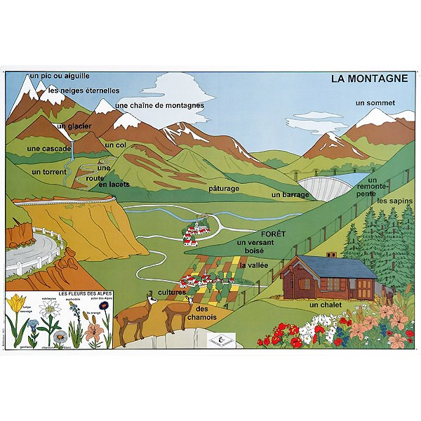 Ens. de 3 affiches 102x70 cm : le vocabulaire de la géographie